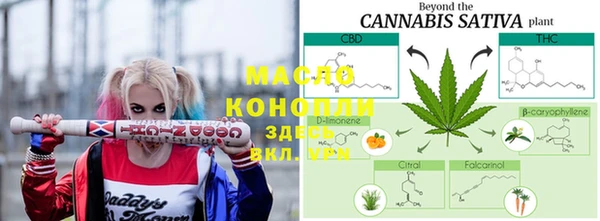 прущие грибы Баксан