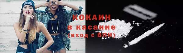 прущие грибы Баксан