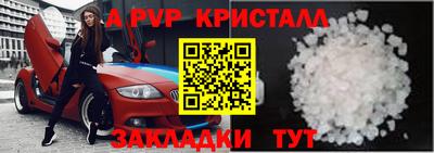 шишки Кингисепп