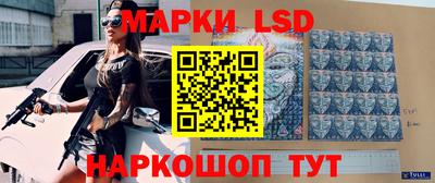 шишки Кингисепп