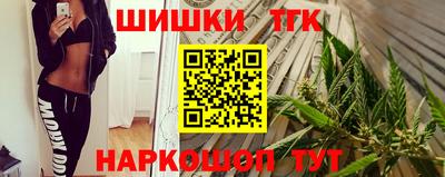 шишки Кингисепп