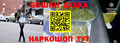 шишки Кингисепп