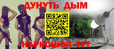 шишки Кингисепп