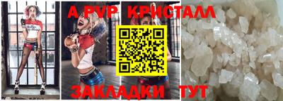 шишки Кингисепп