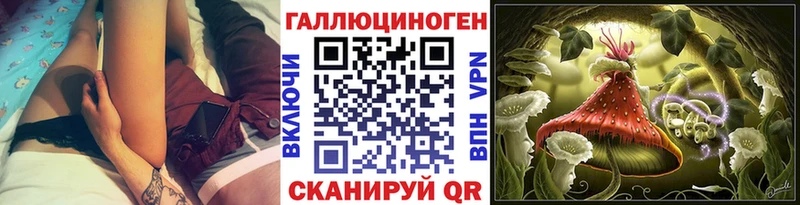 omg Дальнегорск Псилоцибиновые грибы Psilocybe