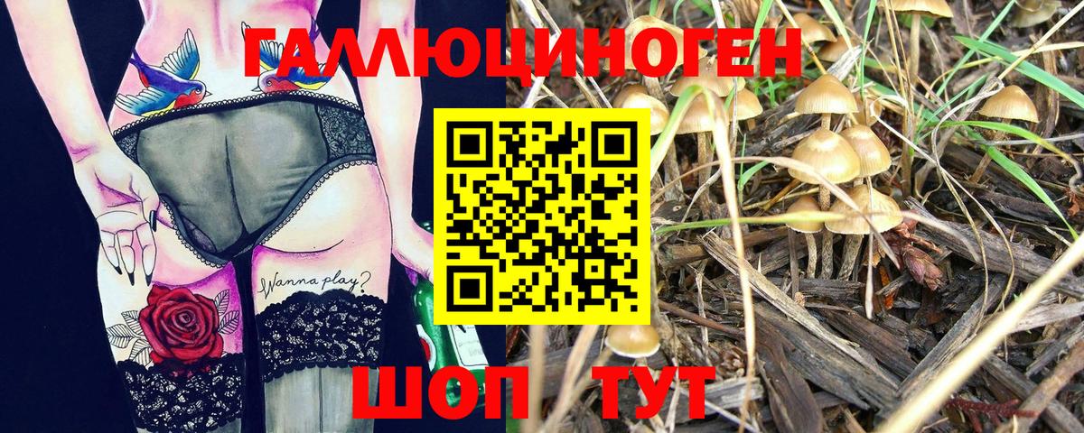 Псилоцибиновые грибы мицелий  где найти наркотики  Дальнегорск  Вход с VPN 